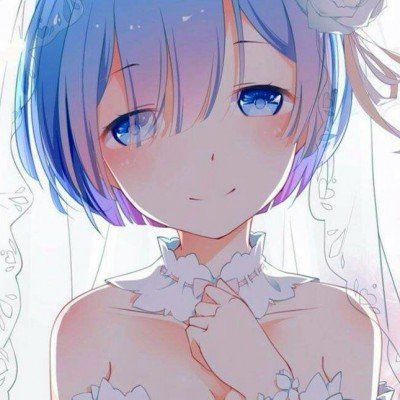 大雁宝宝列队前行萌化了