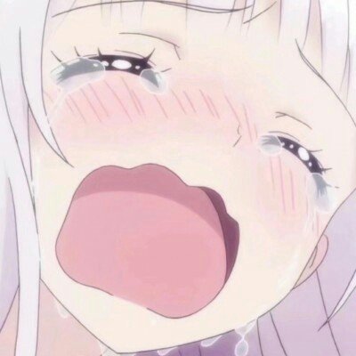 女子拼死留住的巴掌双胞胎1岁半了